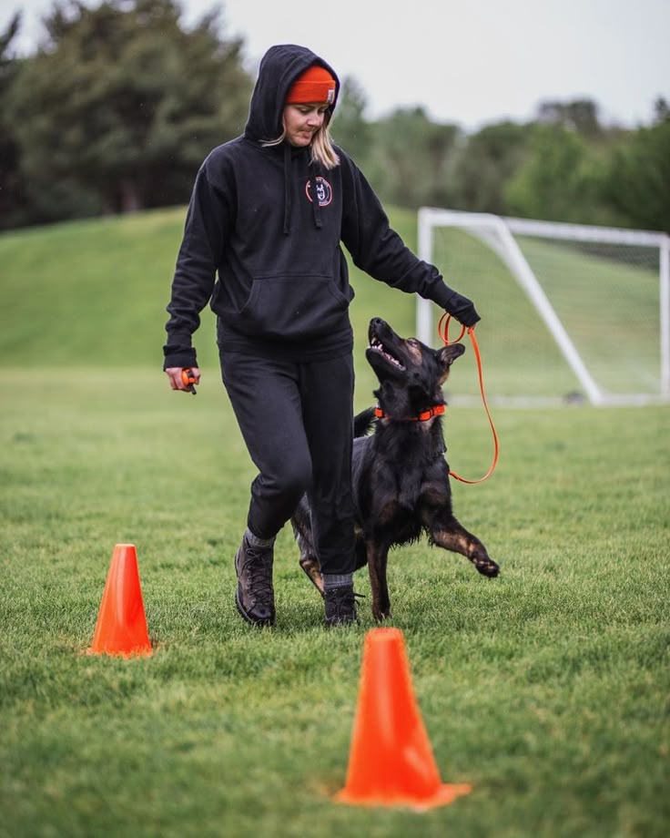 Top-Ranked Beverly Hills Dog Trainers for Every Breed