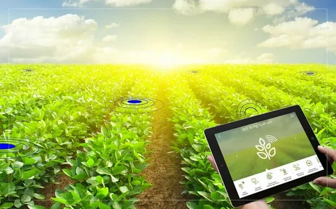 The Role of Big Data in Optimizing Farm Productivity Through Smart Agriculture