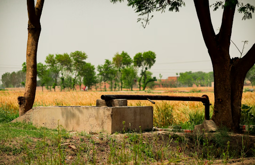 Nurturing Your Land: Practical Steps for Thriving Agricultural Property